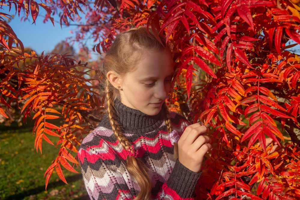 Фотография автора Нина Шкляр