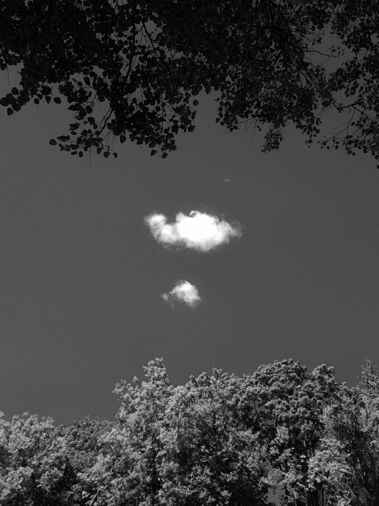 Photograph by Виктория Селетыцкая