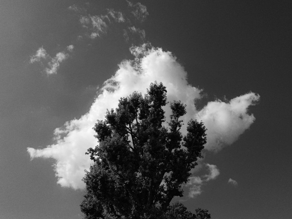 Photograph by Виктория Селетыцкая