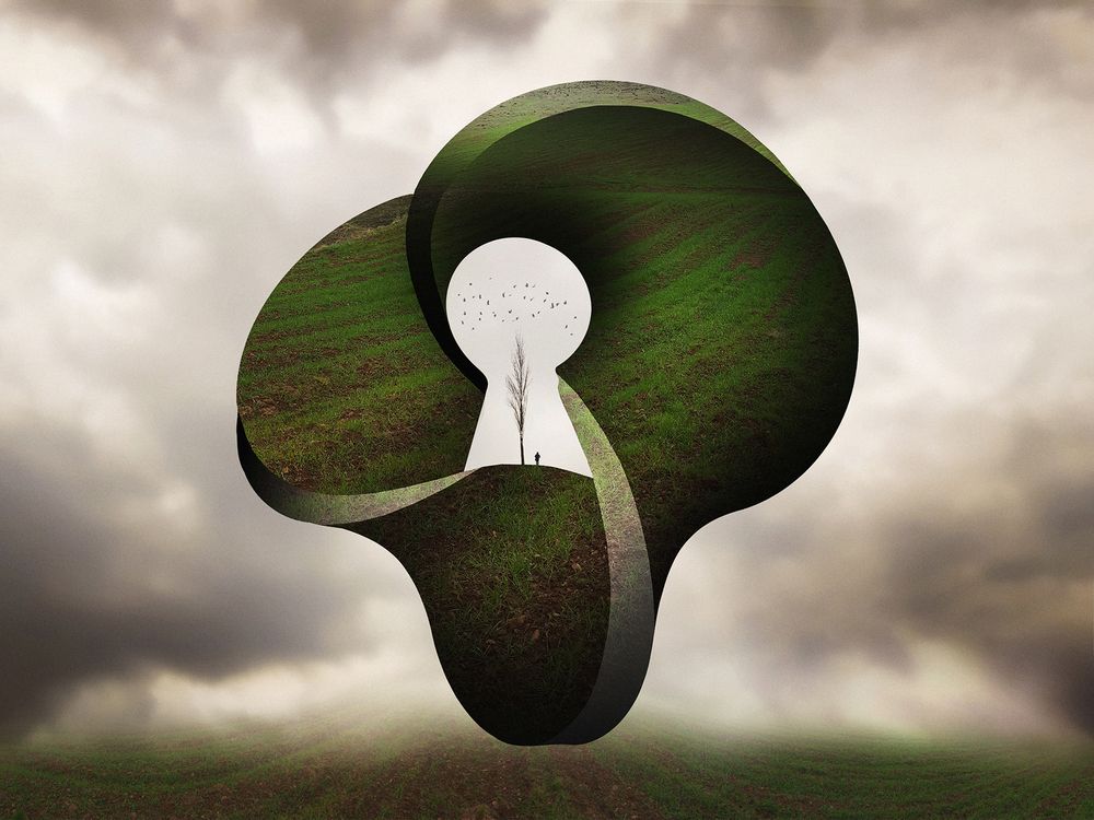 Фотография автора Mohammad Dadsetan