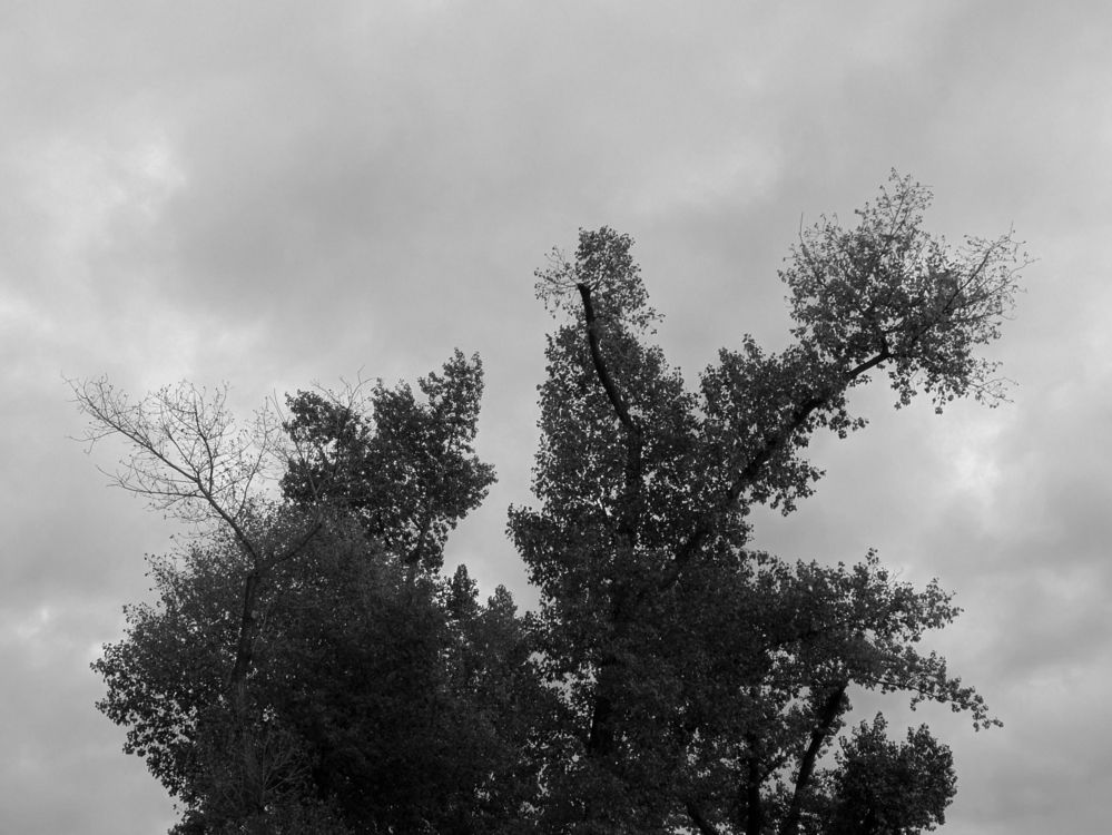 Photograph by Виктория Селетыцкая