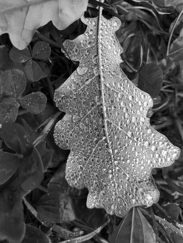 Photograph by Александр П