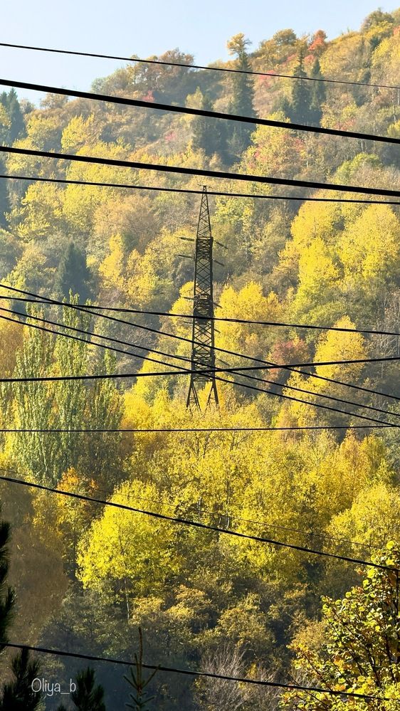 Горы и провода