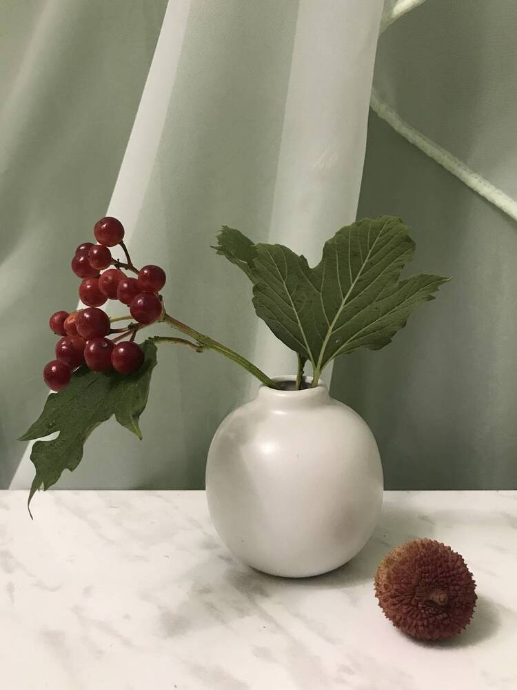 Photograph by Татьяна Шибанова