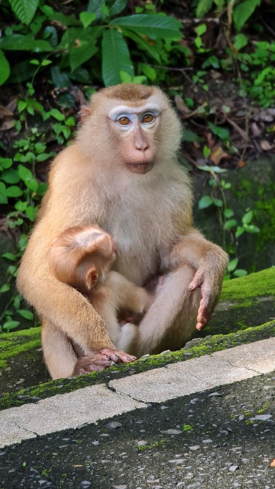 Photograph by Вадим Богатиков