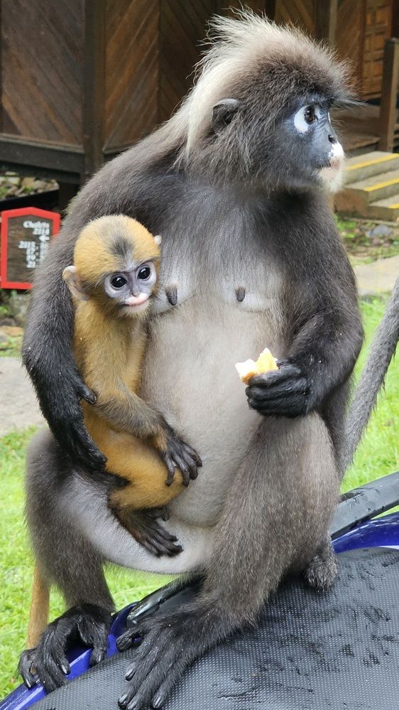 Photograph by Вадим Богатиков