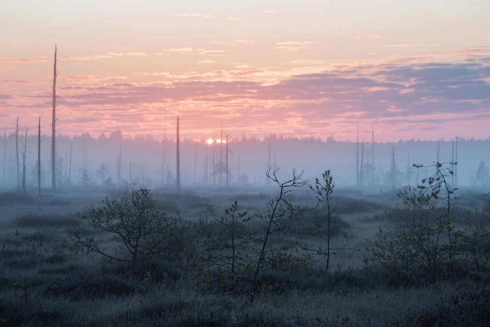 Photograph by Елена Соколова