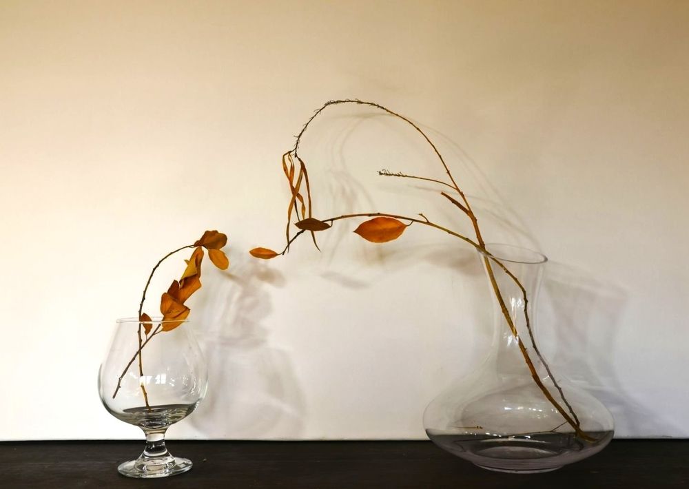 Photograph by Merav Zuberman Perkal