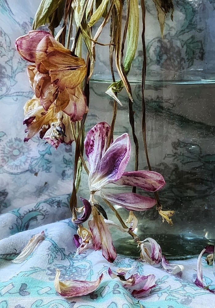 Photograph by Надежда Кудрявцева