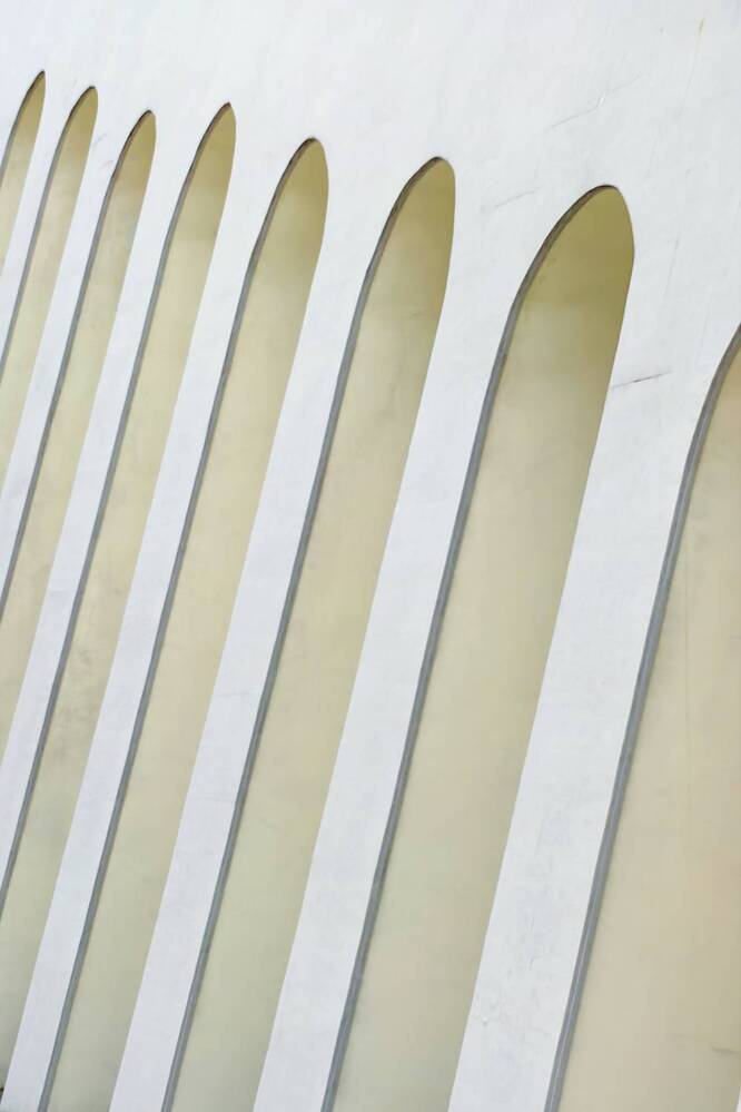 Photograph by Игорь Крыжко