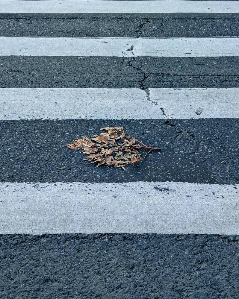 Photograph by Александр Дроздов