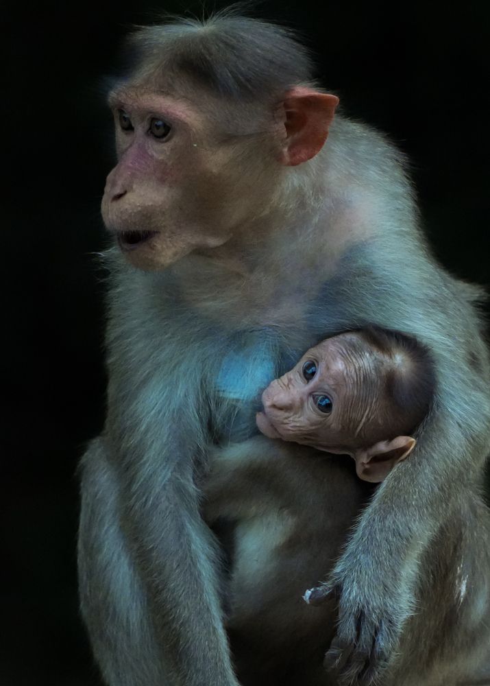 Photograph by SARAVANA MANICKAM