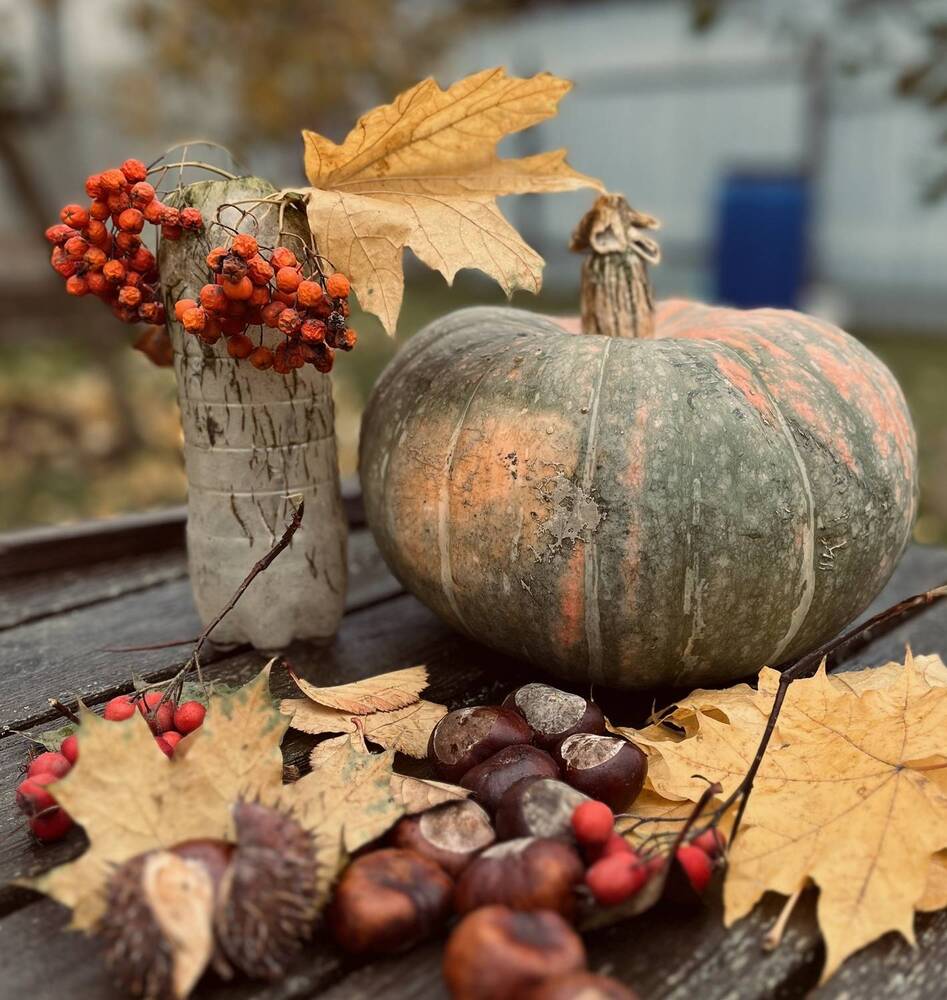 Фотография автора Irina Ginbert