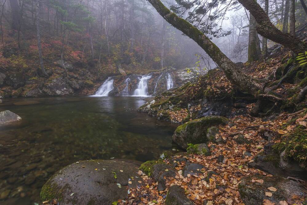 Photograph by Кузнецов Александр