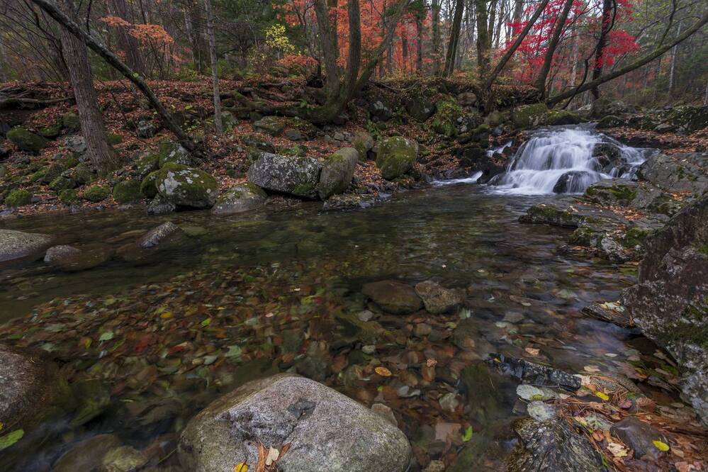 Photograph by Кузнецов Александр