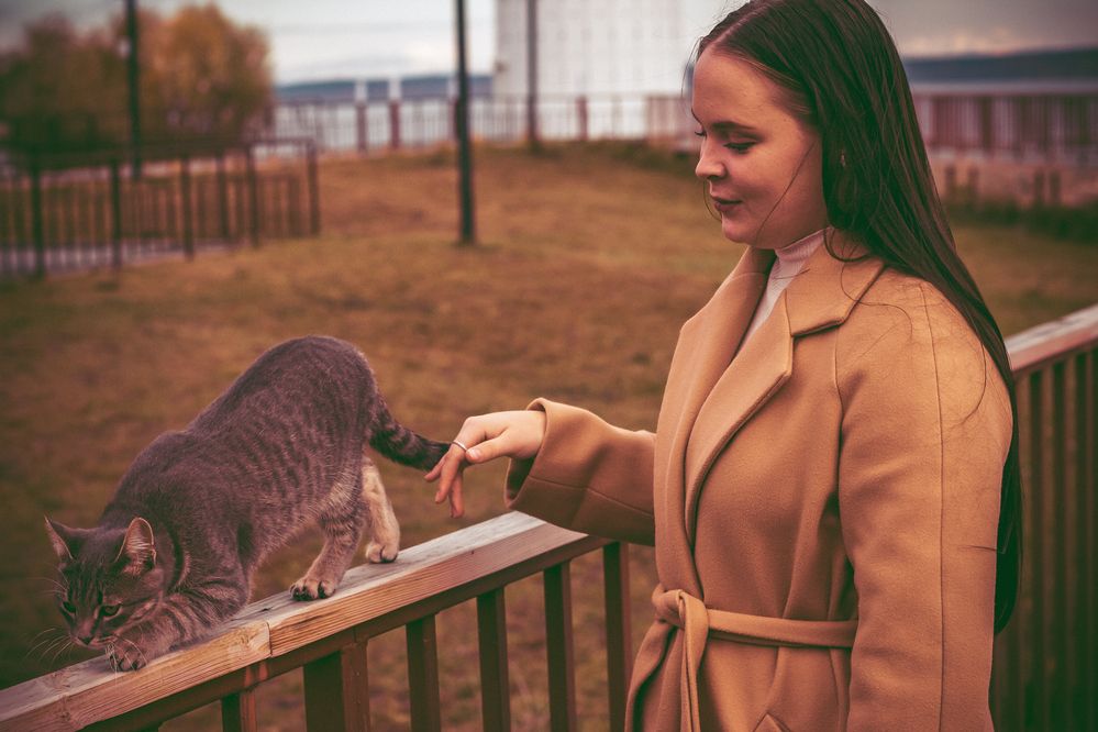 Photograph by Алексей Морозов