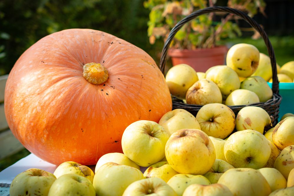 Photograph by Максим Жухлистов