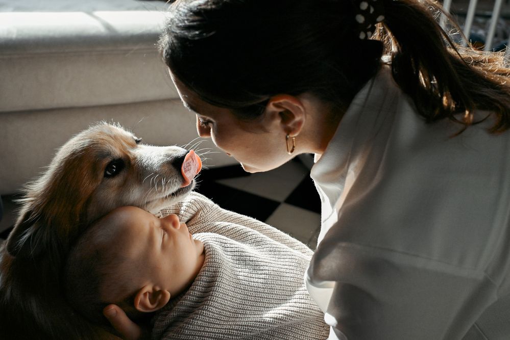 Photograph by Katya Boyer