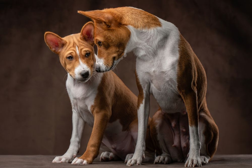 Photograph by Зубкова Юлия