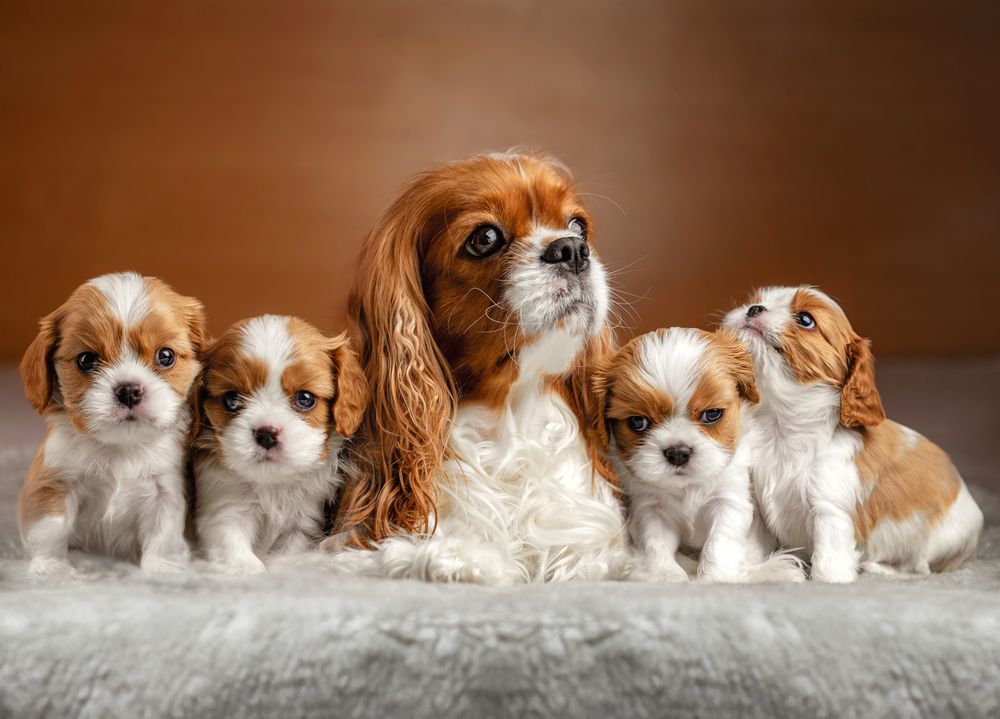 Photograph by Зубкова Юлия