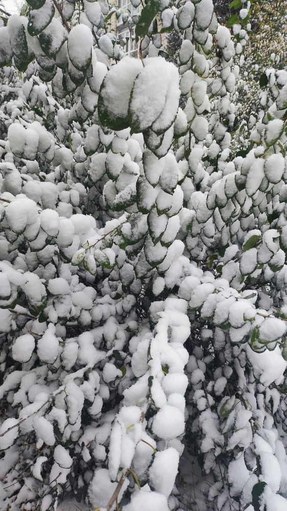 Photograph by Denis Phominov