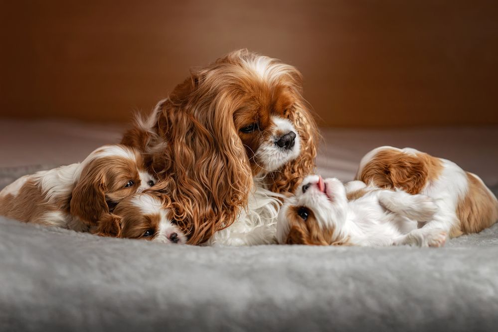 Photograph by Зубкова Юлия