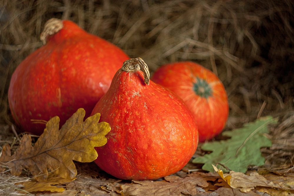 Фотография автора Валерий Елистратов