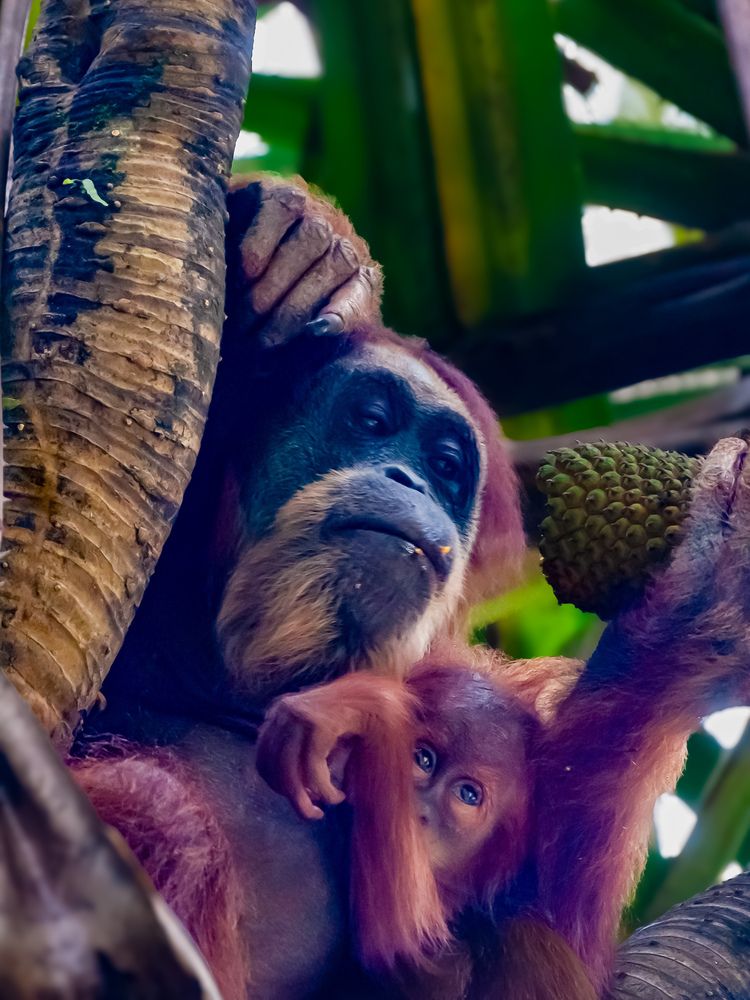 Photograph by sutan naga effendy