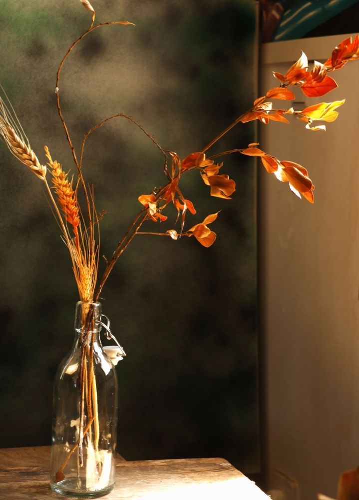 Photograph by Merav Zuberman Perkal