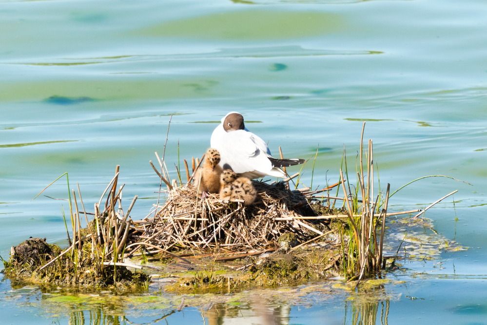 Photograph by Ольга Якубова