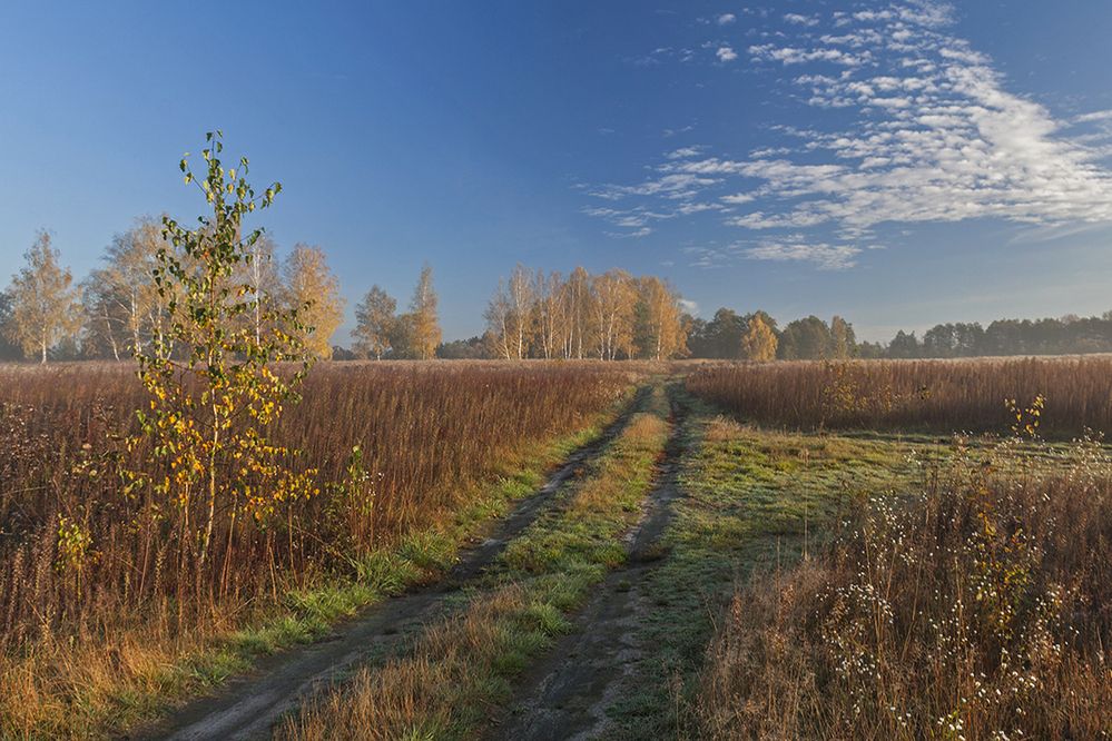 Photograph by Николай Кузьмин
