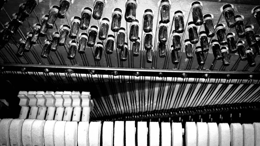 Photograph by Nephotograph