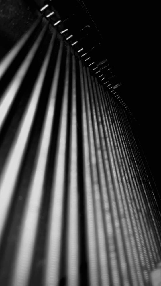 Photograph by Nephotograph