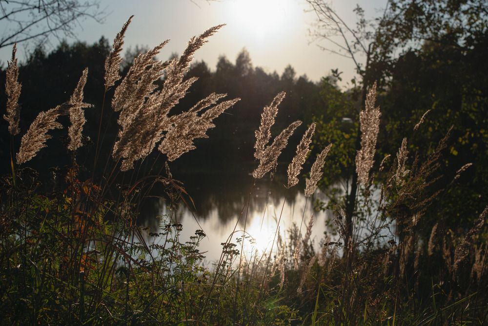 Photograph by Светлана Зайкова