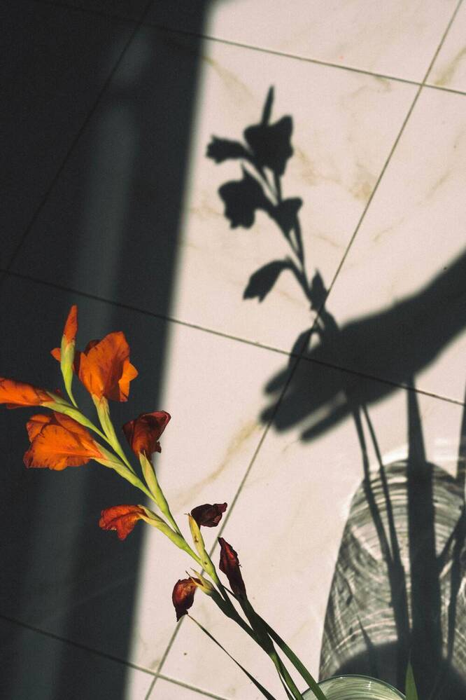 Photograph by Юлия Белоусова