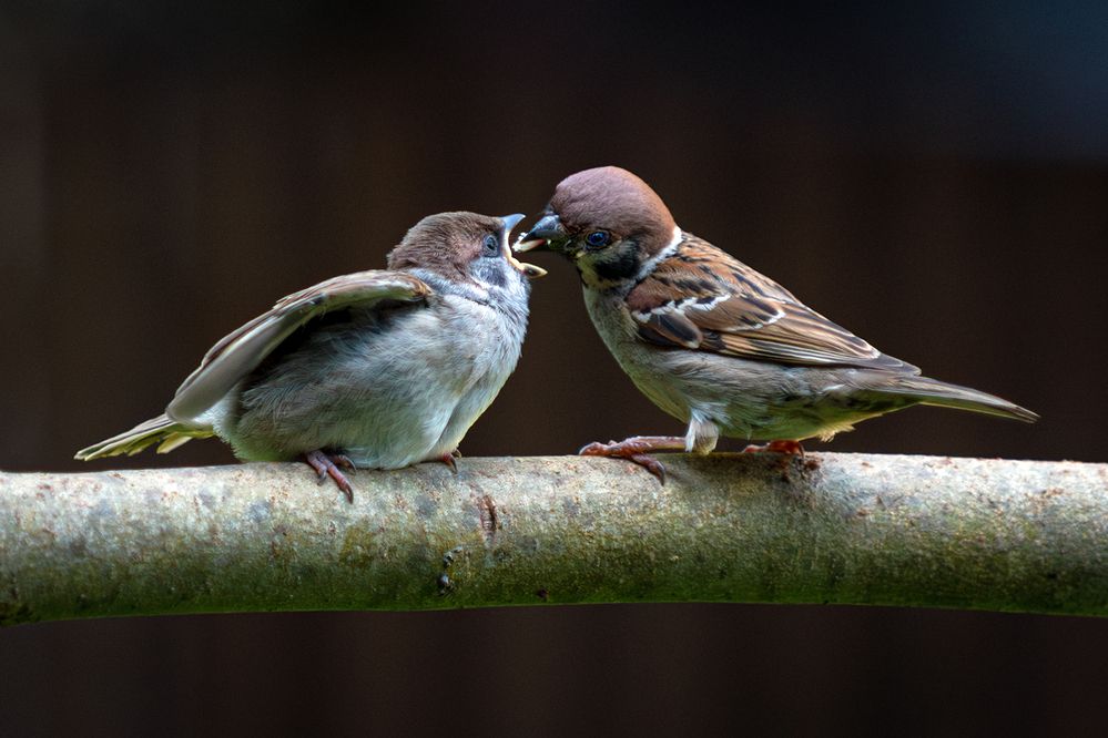Photograph by Юрий Михайлович Головкин