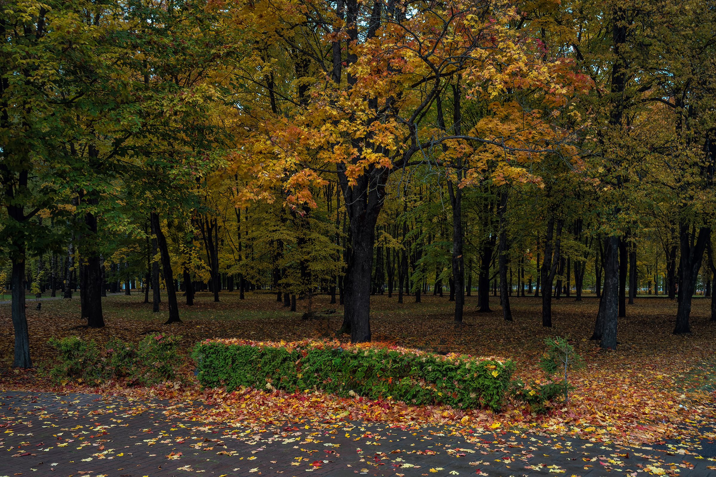 Photograph by Юрий Михайлович Головкин