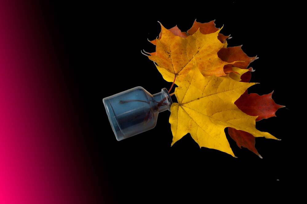 Photograph by Ирина Савостикова