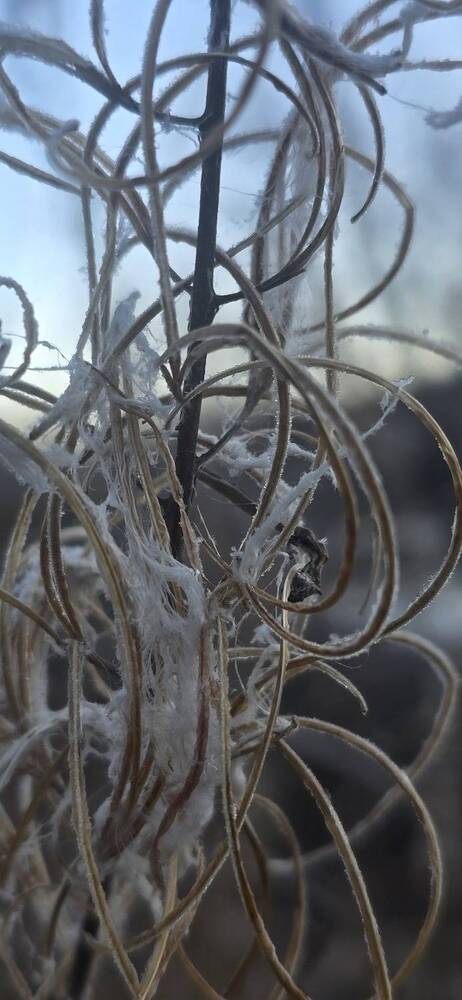 Photograph by Лариса Ким