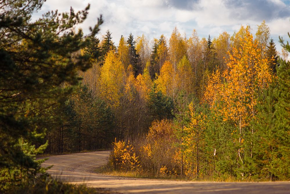 Photograph by Виталий Монахов