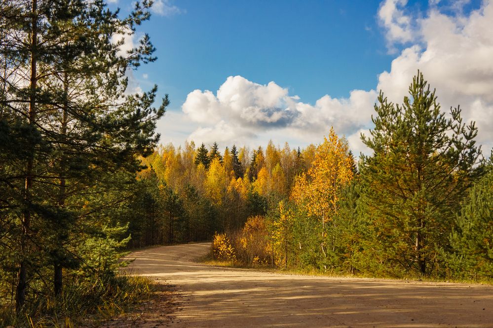 Photograph by Виталий Монахов