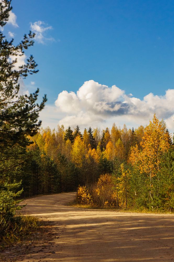 Photograph by Виталий Монахов