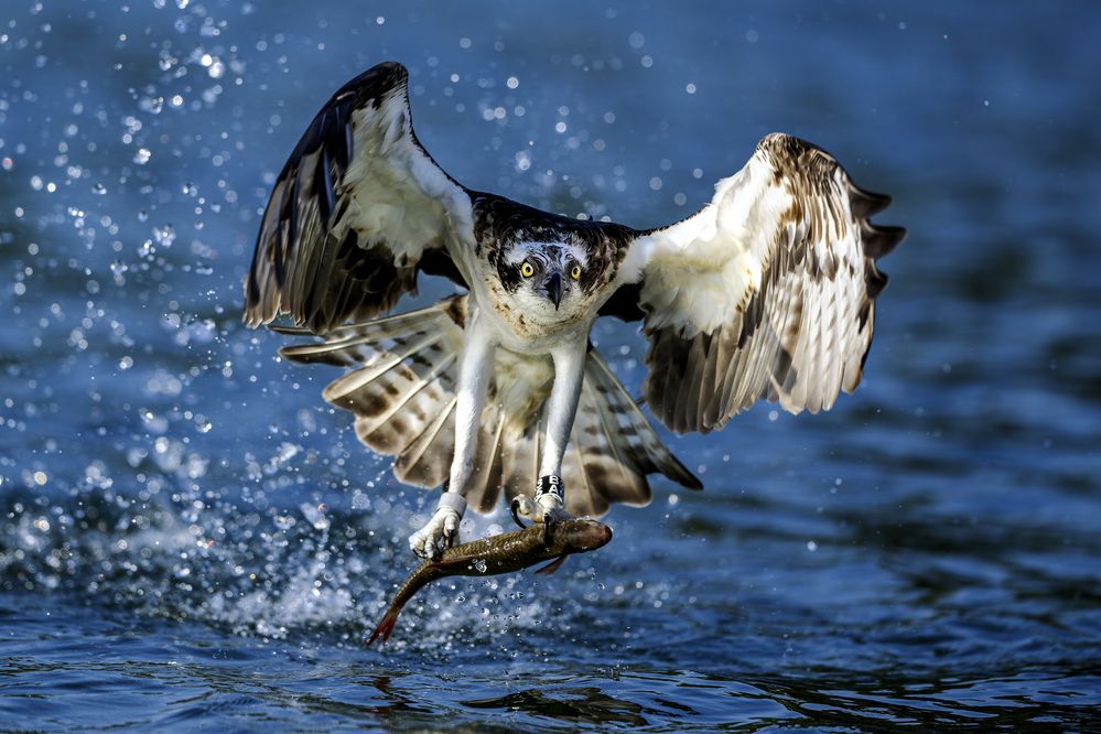 Photograph by Ruzhdi Ibrahimi