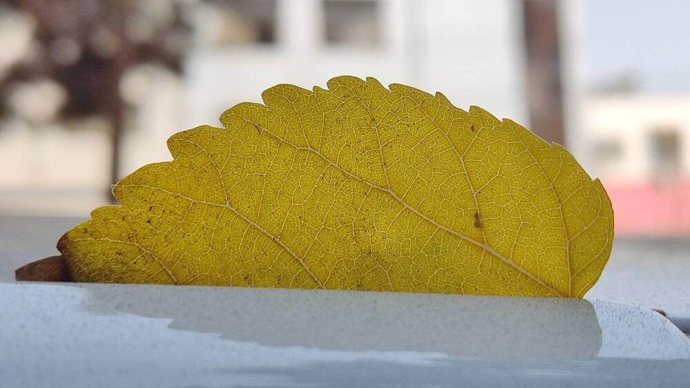 Photograph by Javad Tafti Farashah