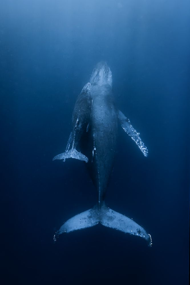 Photograph by nishijima takayuki