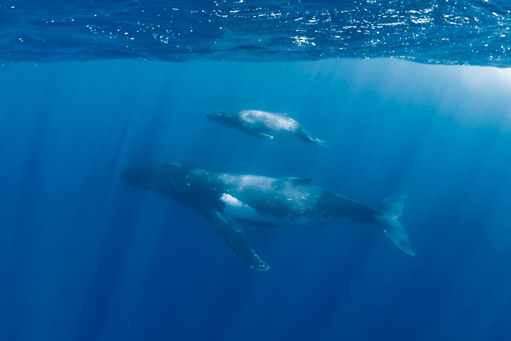 Photograph by nishijima takayuki