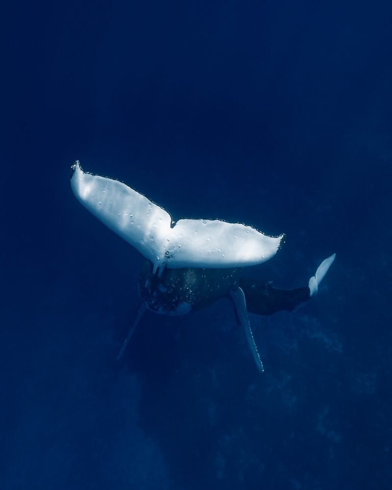 Photograph by nishijima takayuki