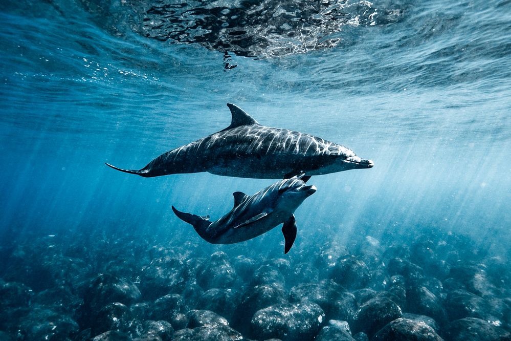 Photograph by nishijima takayuki