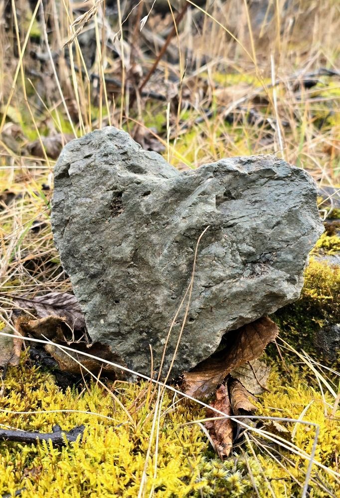 Photograph by Лариса Ким