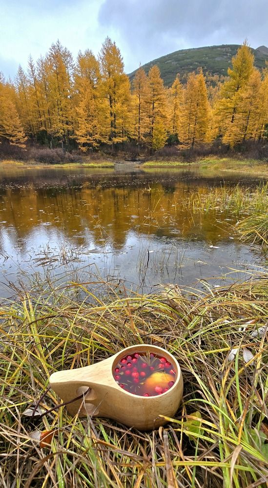 Photograph by Лариса Ким